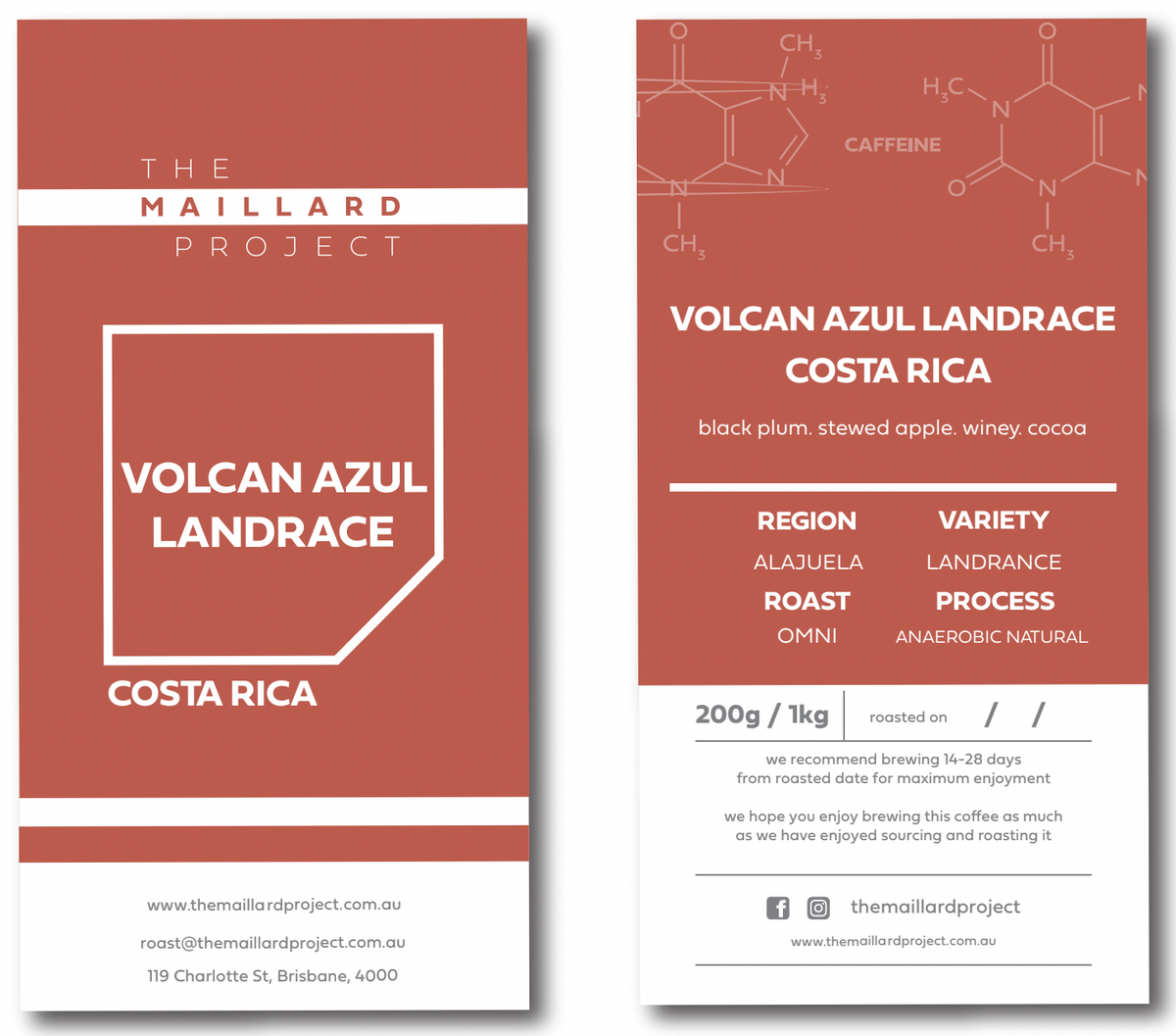 Volcan Azul Landrace